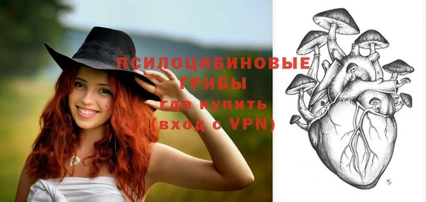 ешки Верхний Тагил