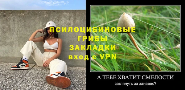 apvp Гусев