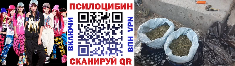 Псилоцибиновые грибы мухоморы  как найти закладки  Вичуга 